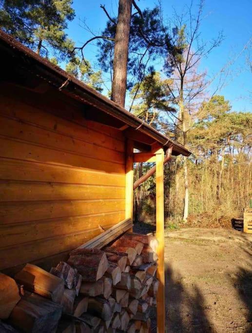 Villa Haus Clemens - Gemuetliches Holzhaus Mit Grundstueck Königs Wusterhausen Exterior foto